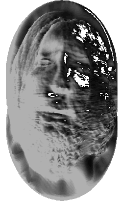 der fraktalisierte knstler